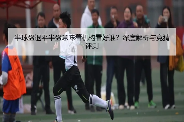 半球盘退平半盘意味着机构看好谁？深度解析与竞猜评测